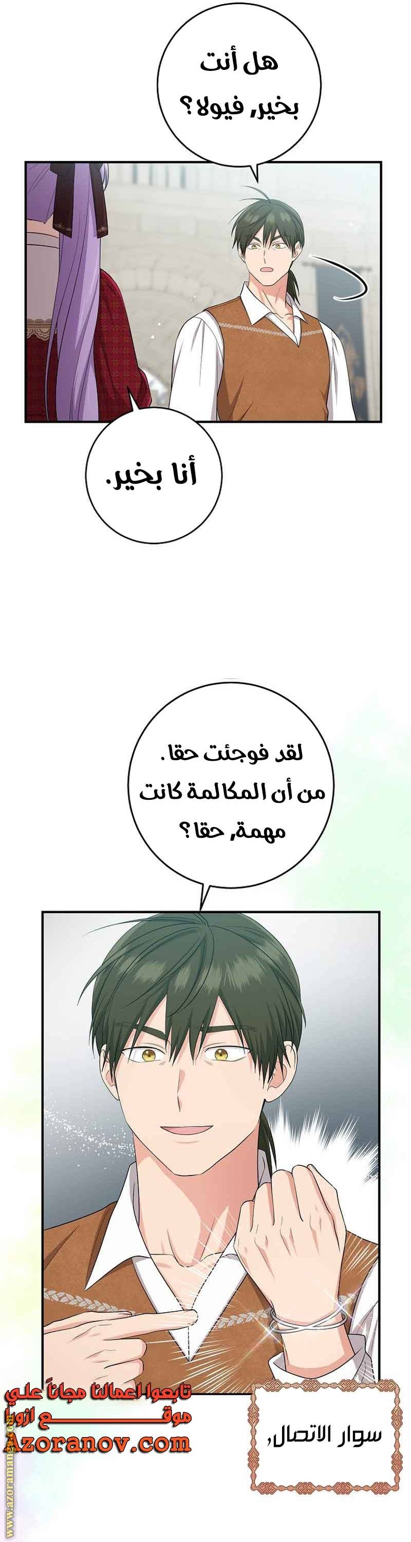 الصفحة 27