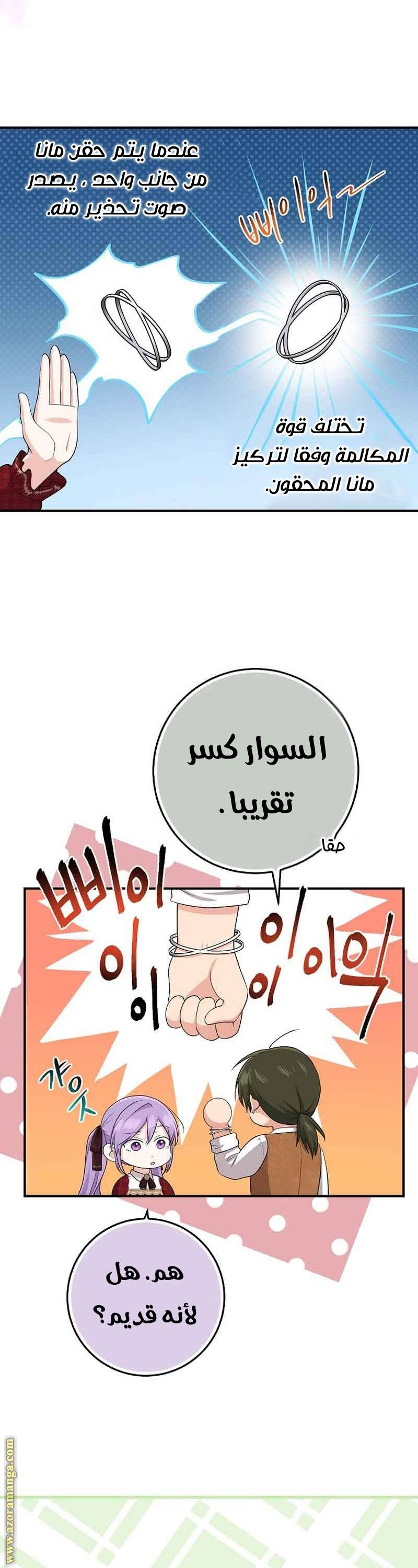 الصفحة 28