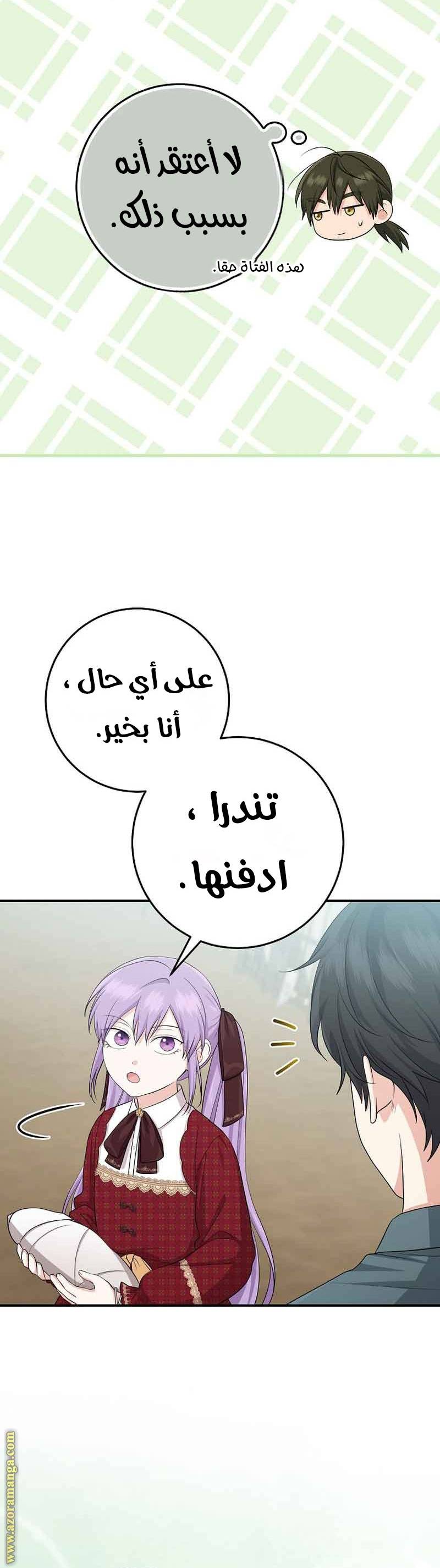 الصفحة 29
