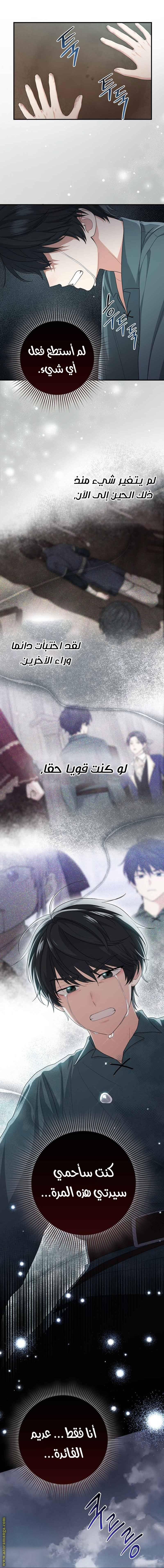 الصفحة 33