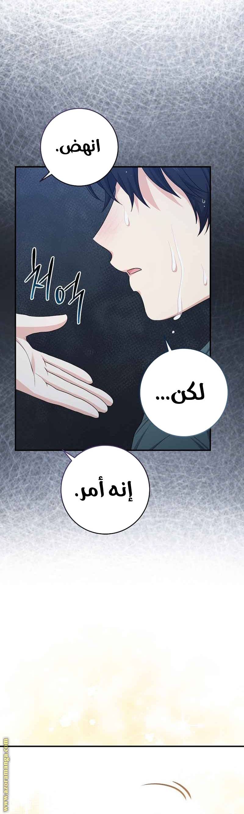 الصفحة 37