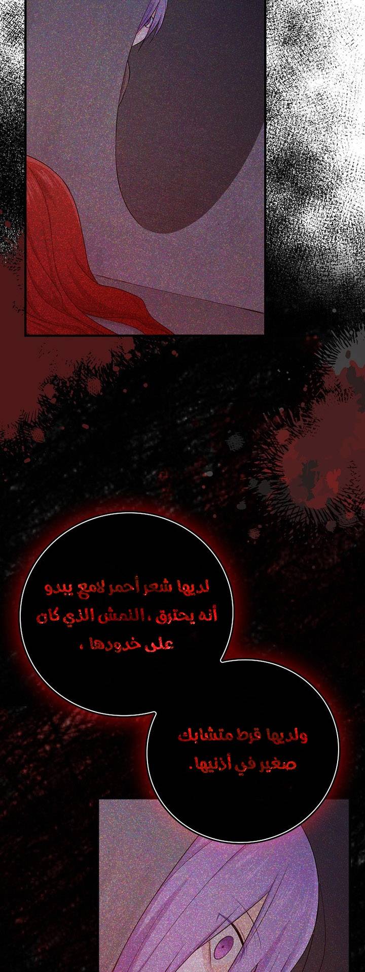 الصفحة 29