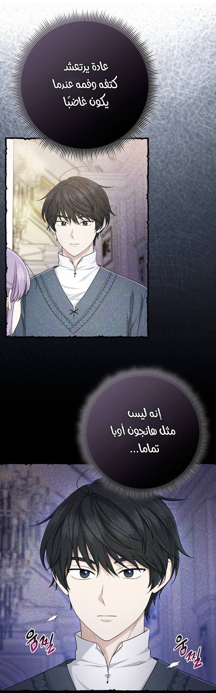 الصفحة 27