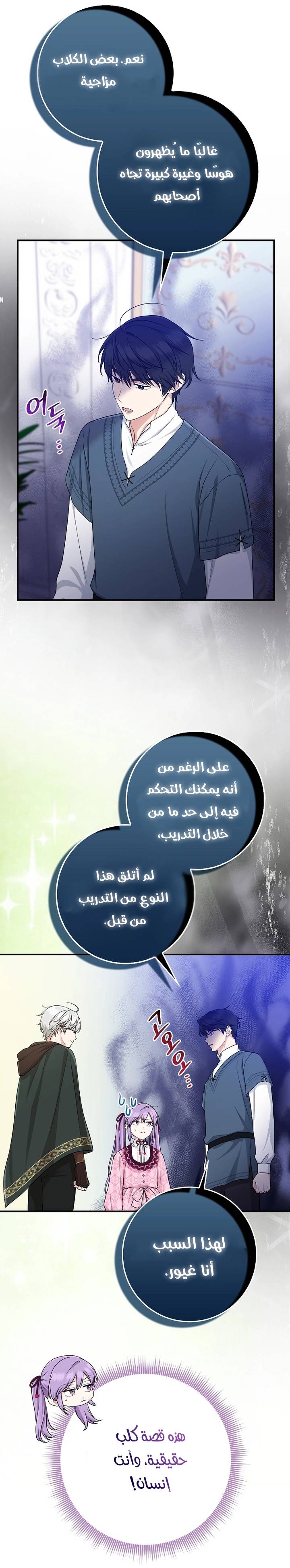 الصفحة 31