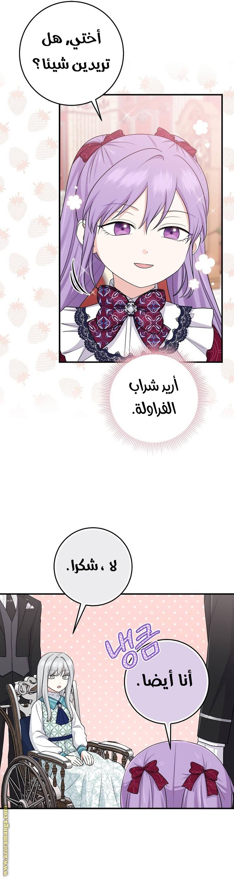 الصفحة 28