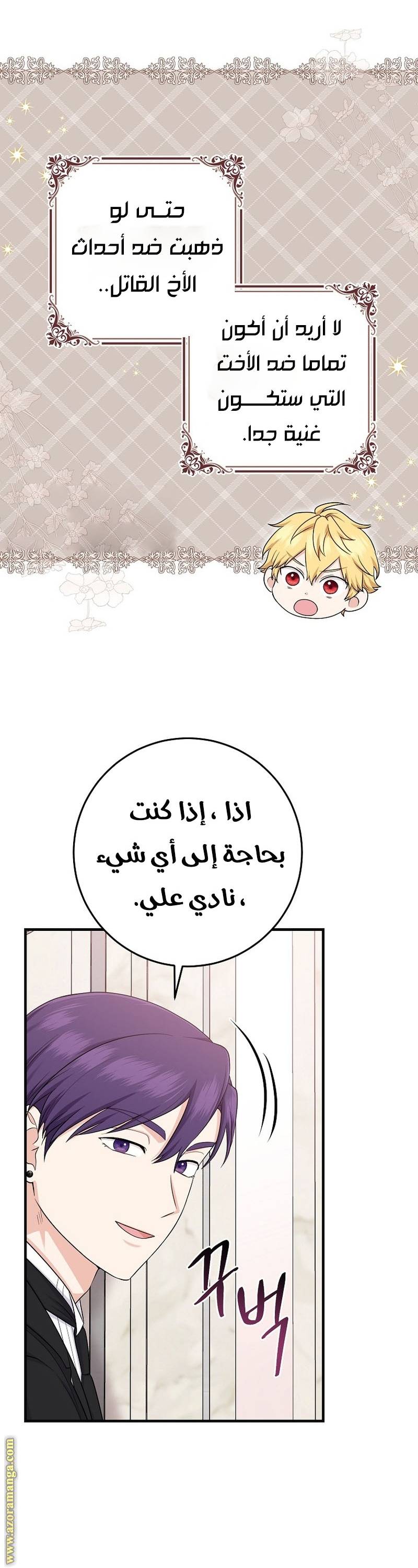 الصفحة 29