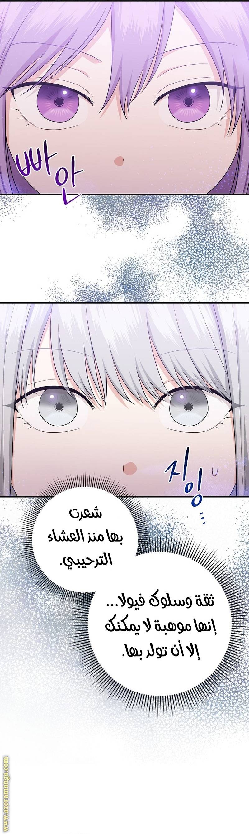 الصفحة 41
