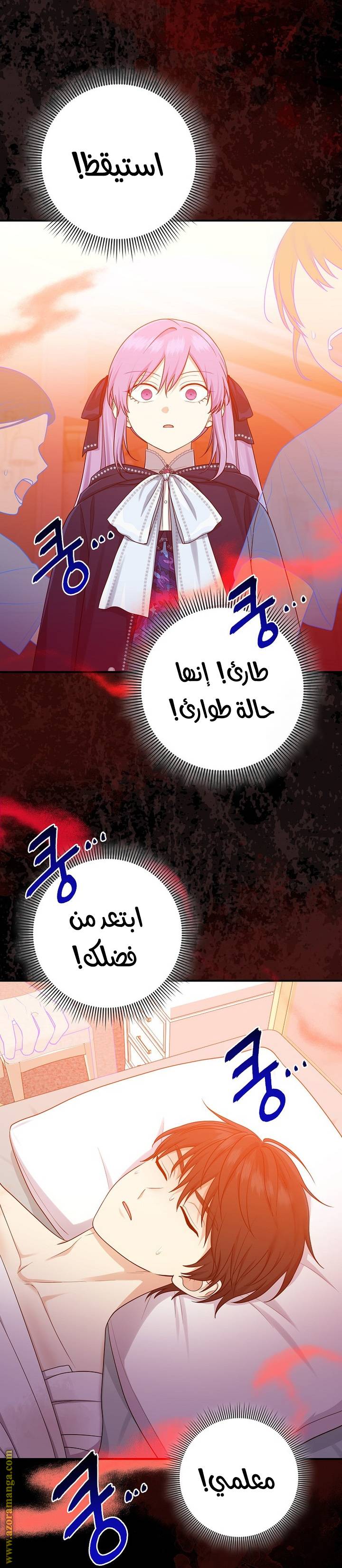 الصفحة 20
