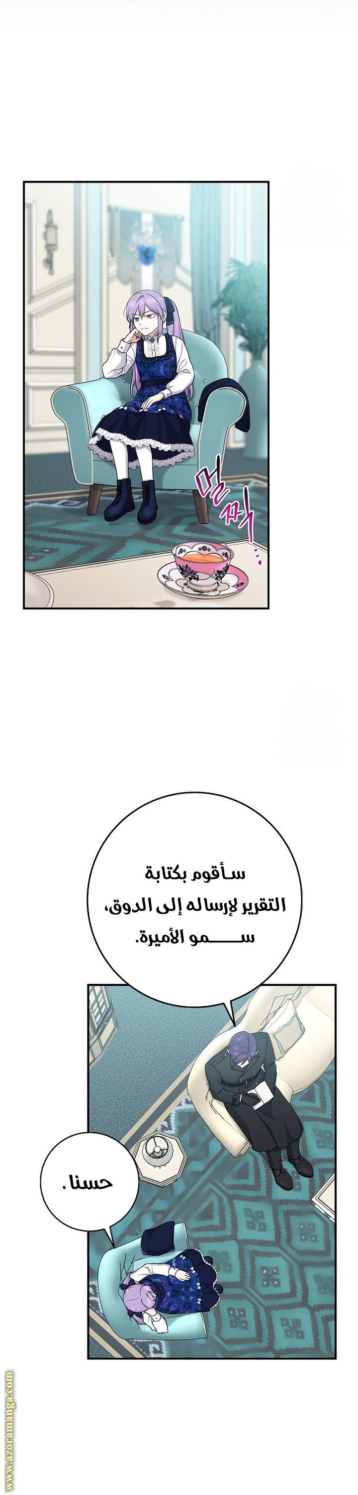 الصفحة 29
