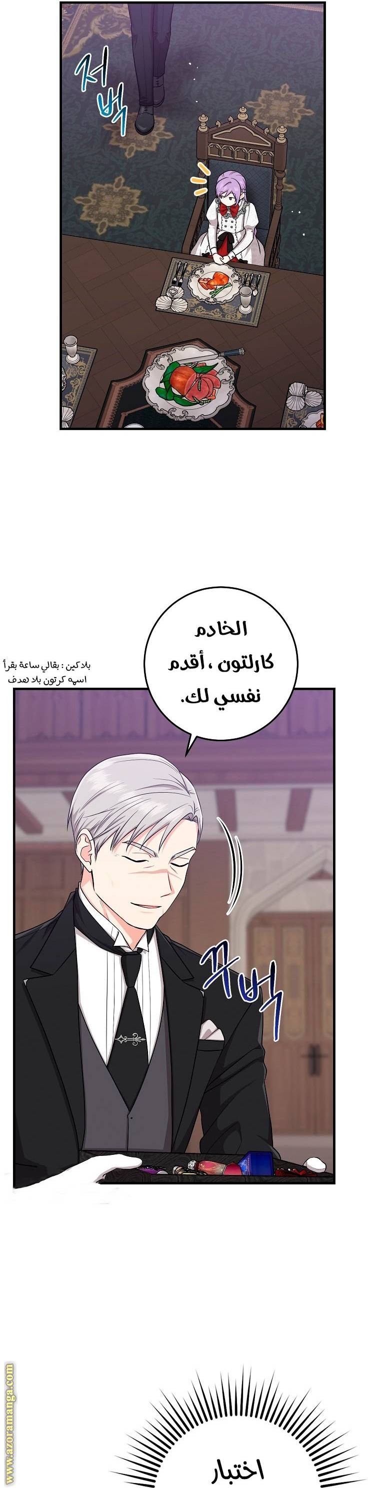الصفحة 19