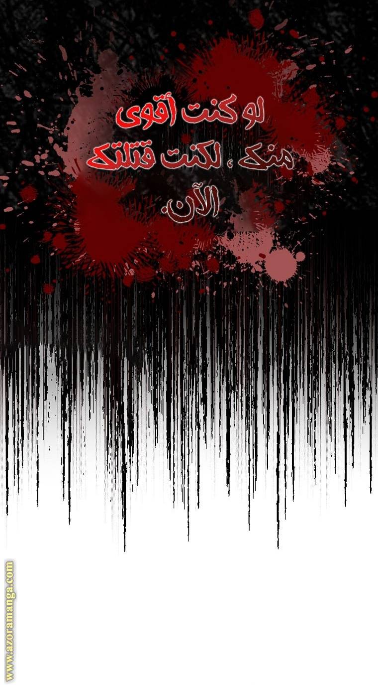 الصفحة 24