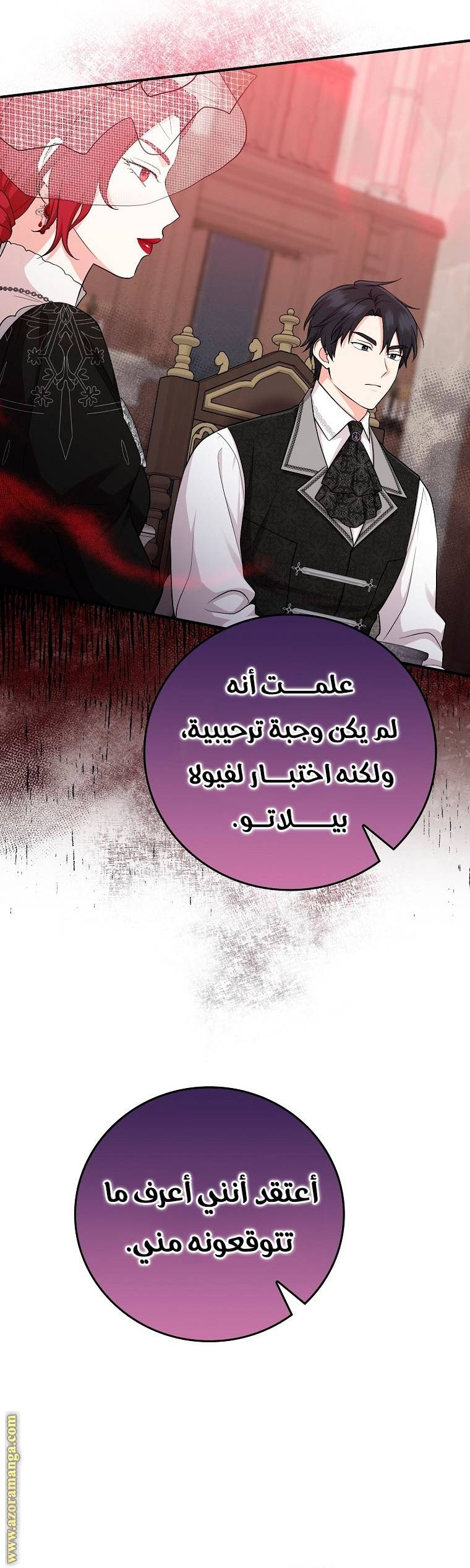 الصفحة 27