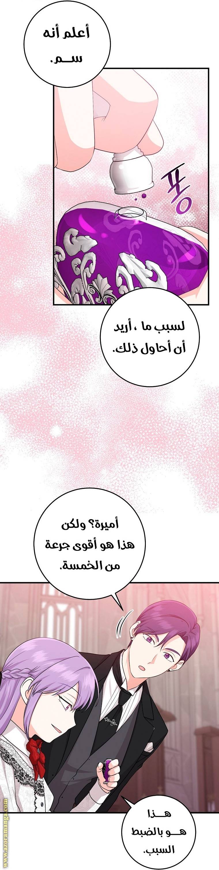 الصفحة 42