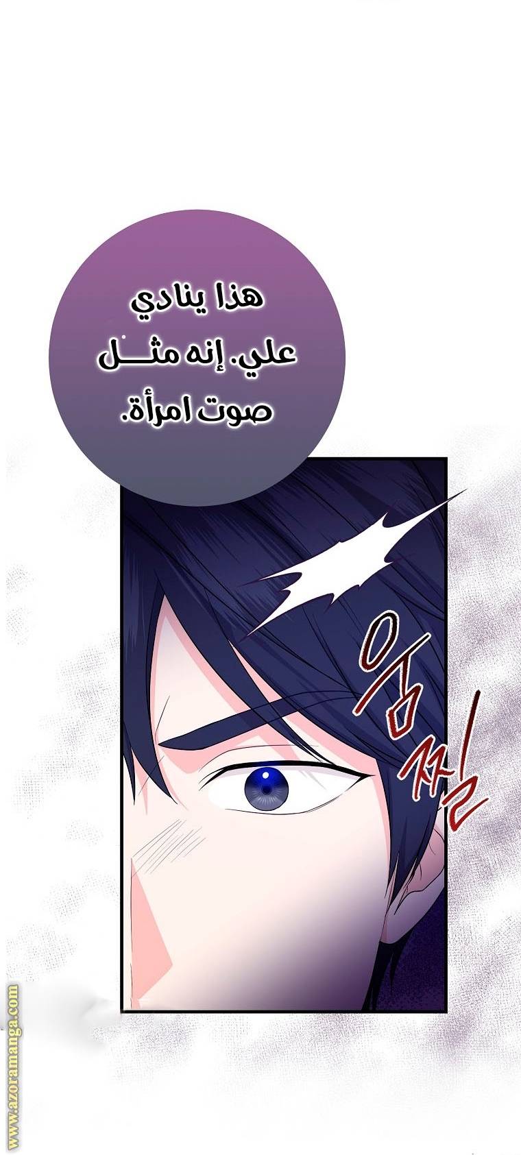 الصفحة 43