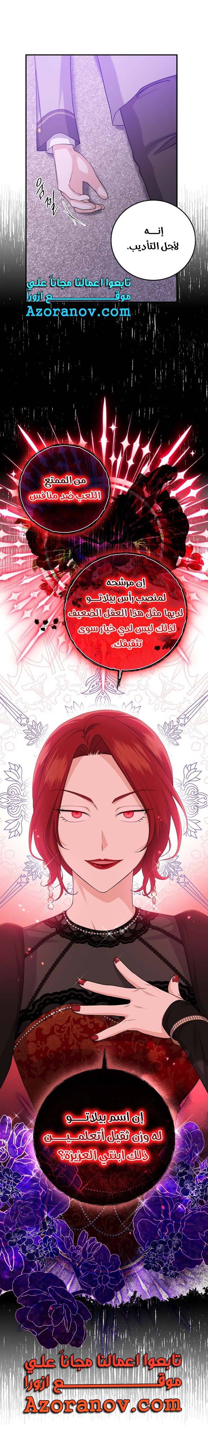 الصفحة 17