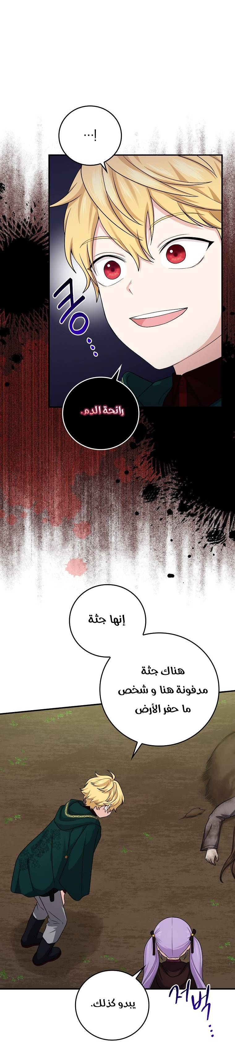 الصفحة 43