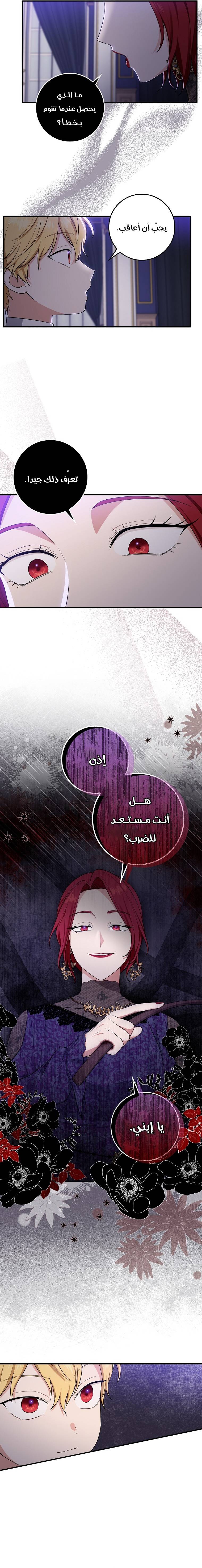 الصفحة 13