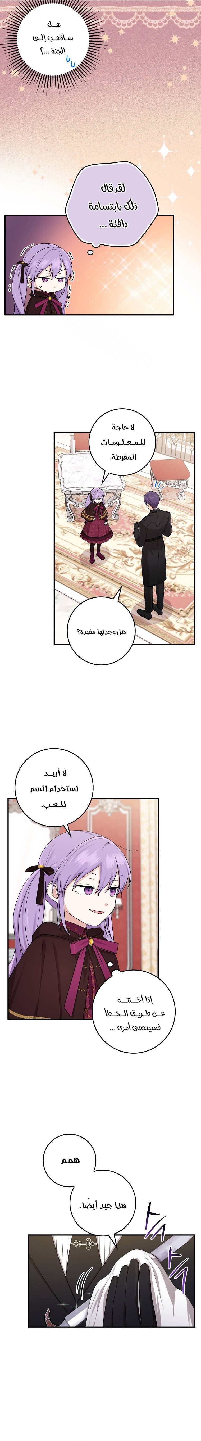 الصفحة 17
