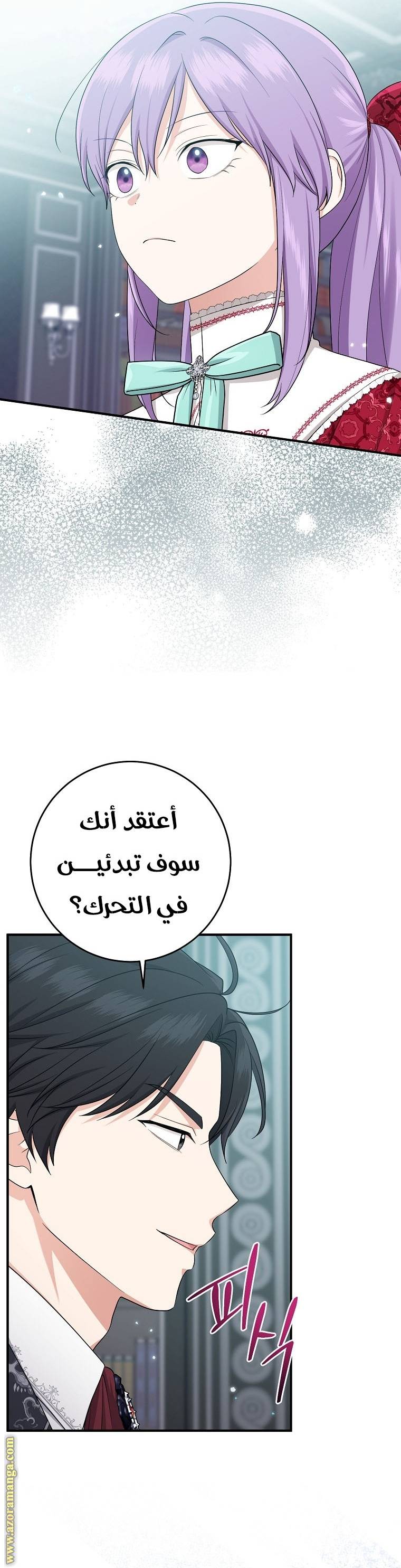 الصفحة 17