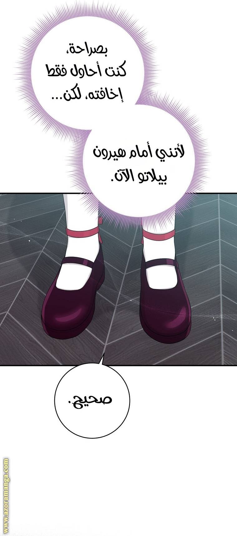 الصفحة 19