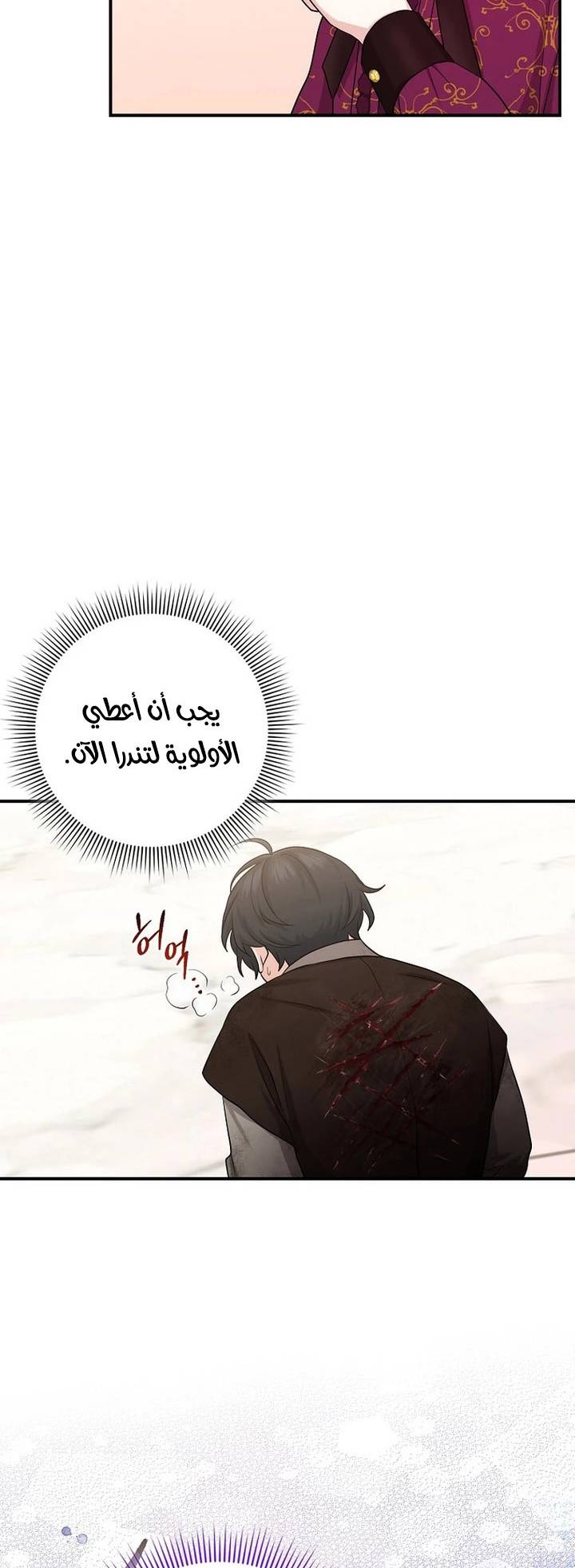 الصفحة 26