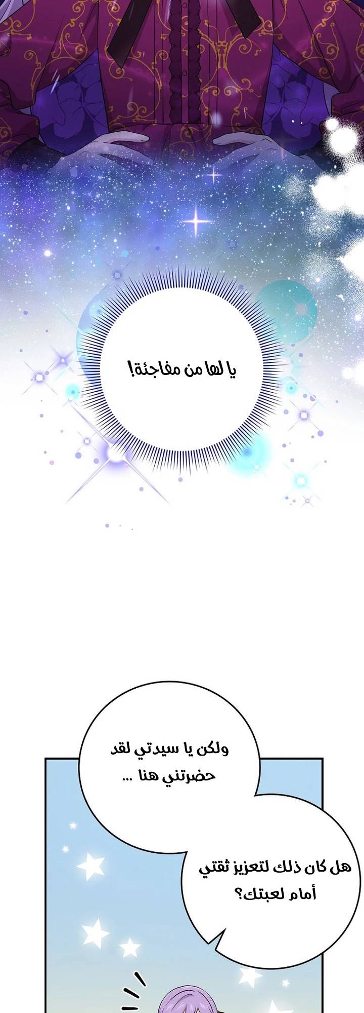 الصفحة 48