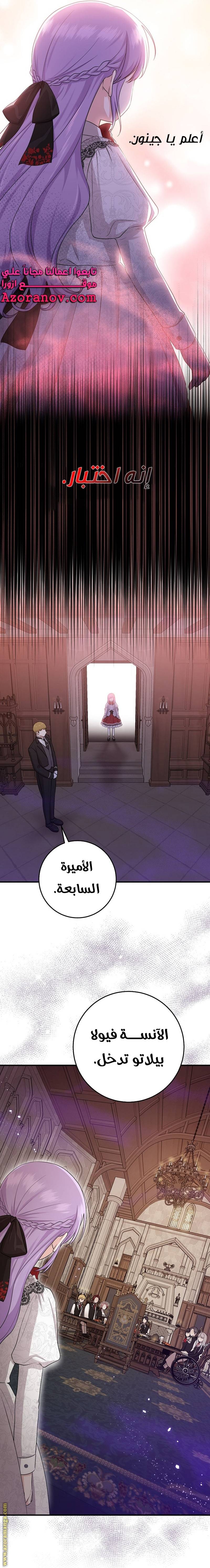 الصفحة 17