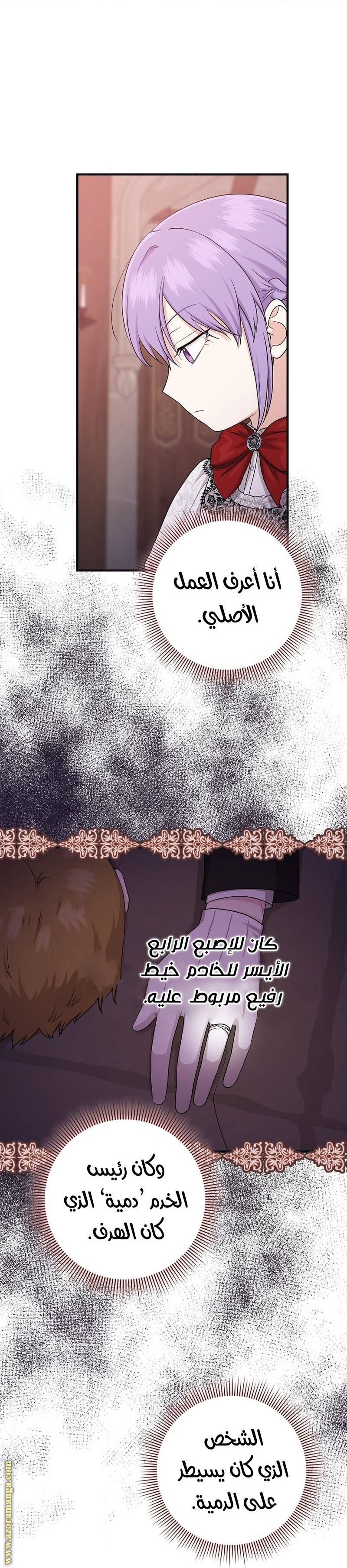 الصفحة 21