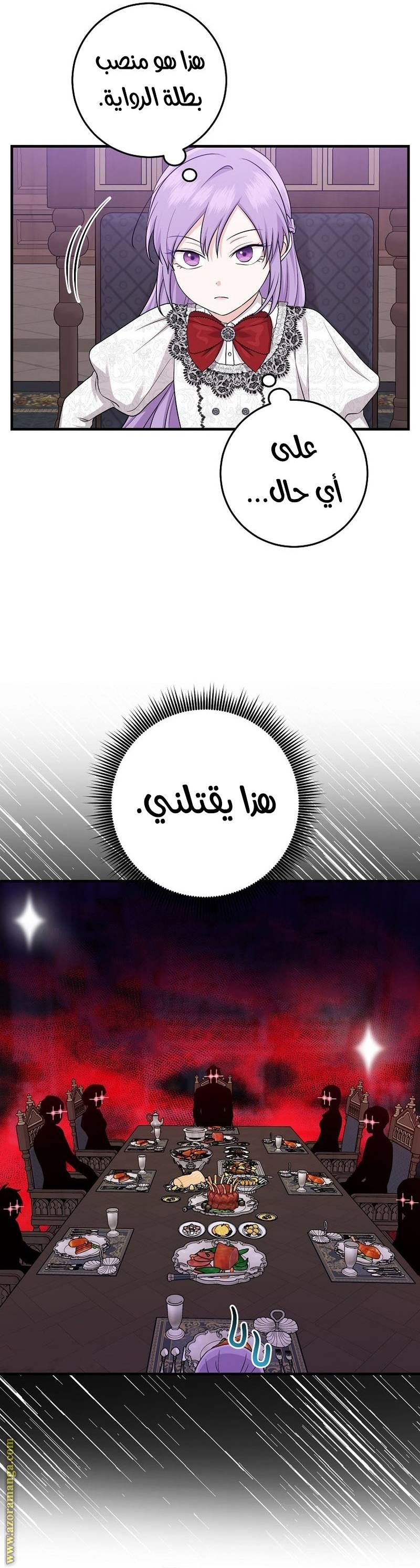 الصفحة 27
