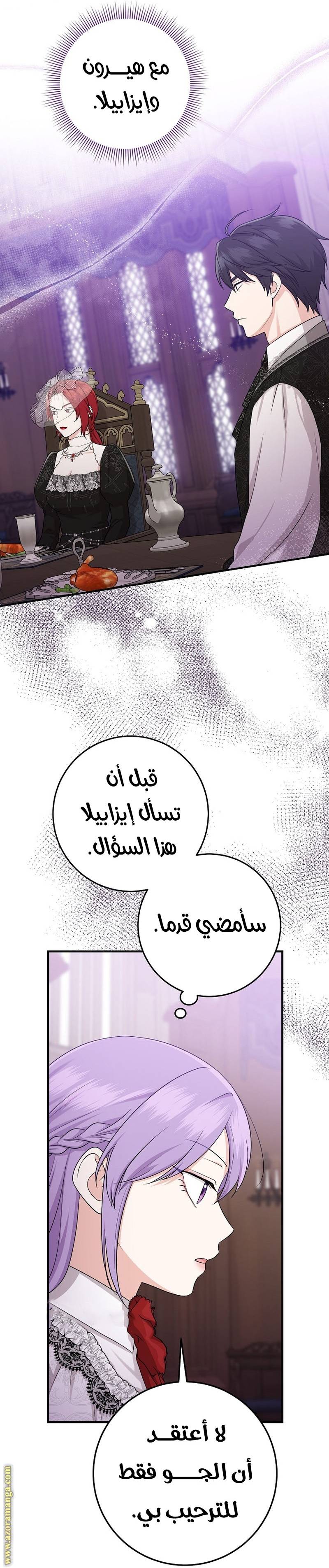الصفحة 29