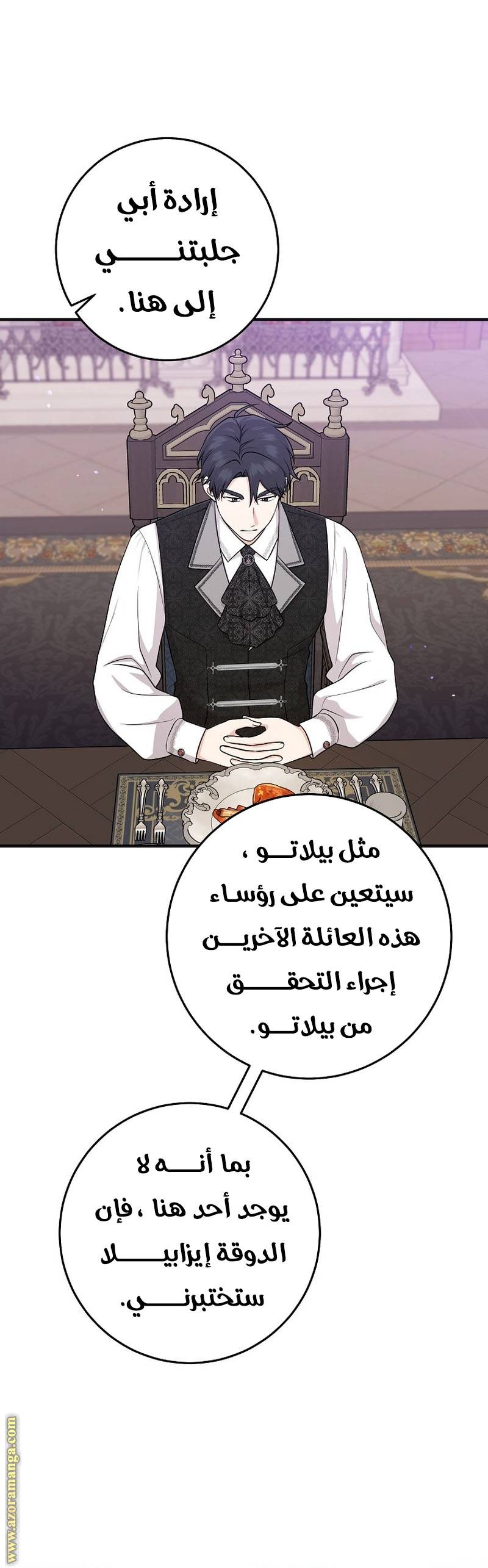 الصفحة 30