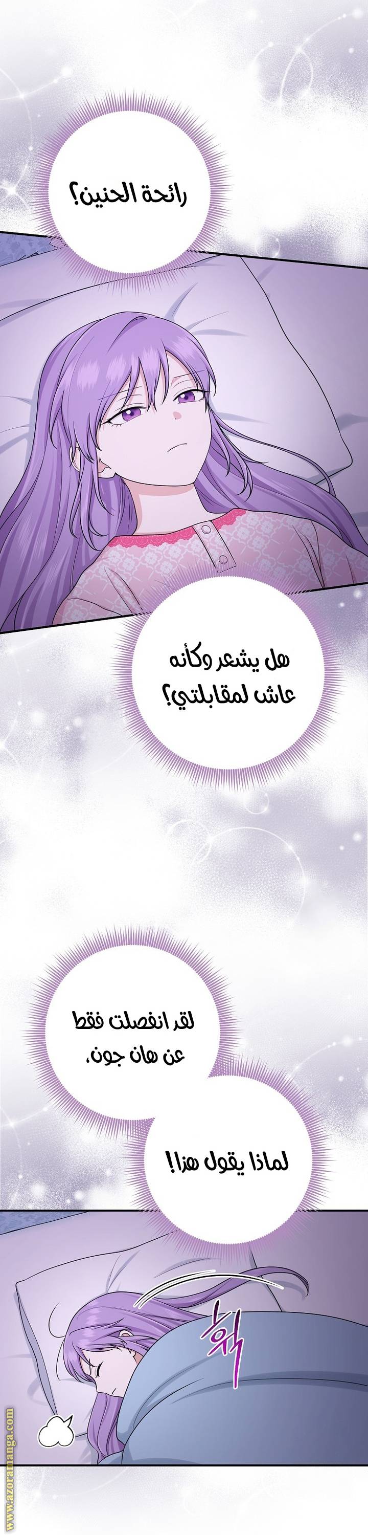 الصفحة 13