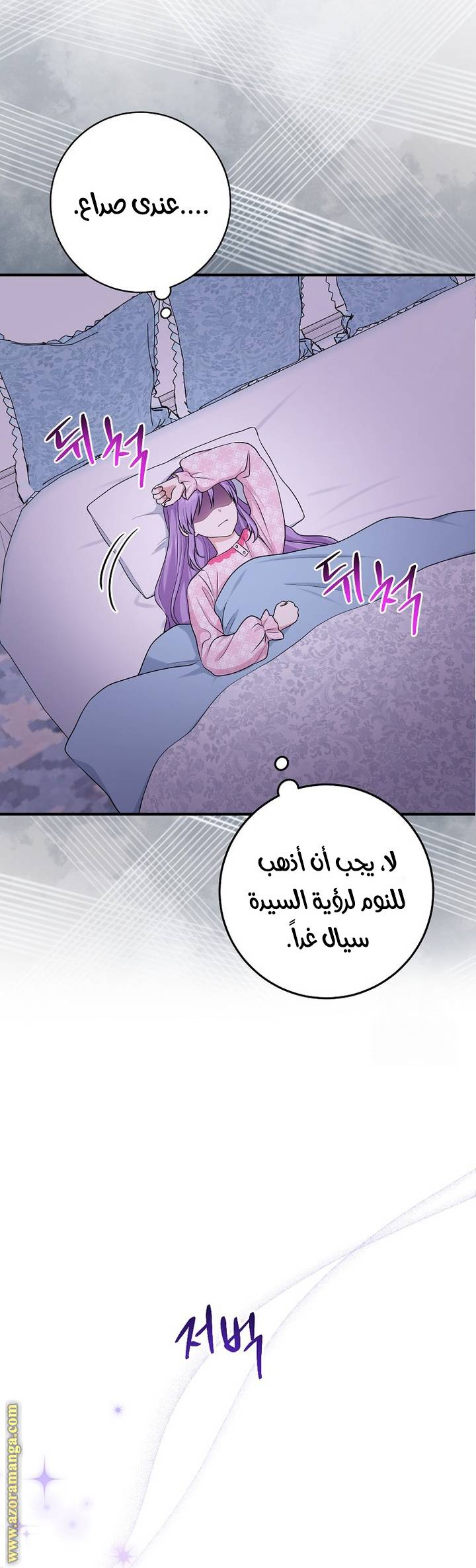 الصفحة 17