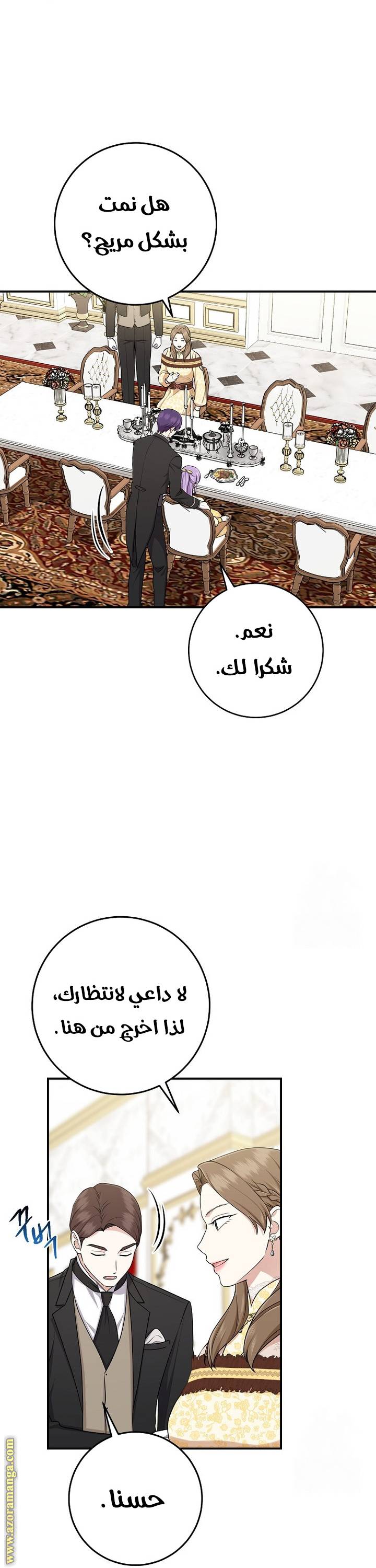 الصفحة 27