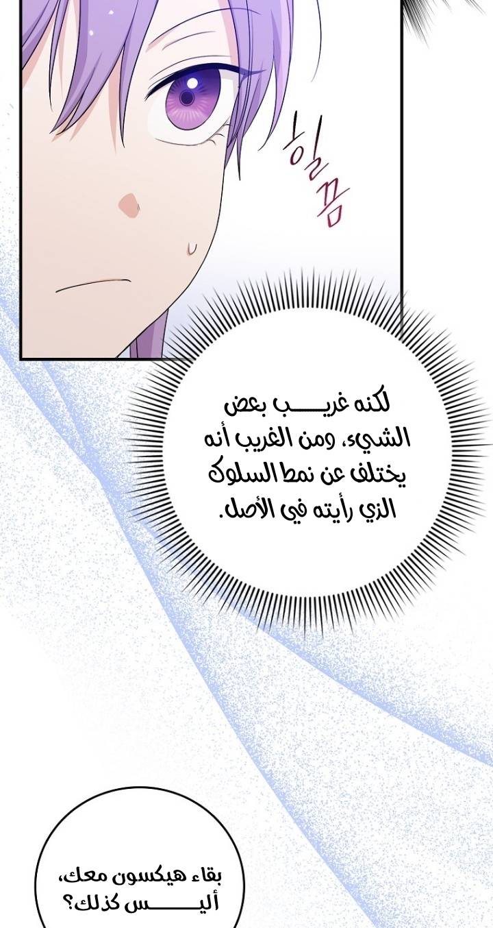 الصفحة 21