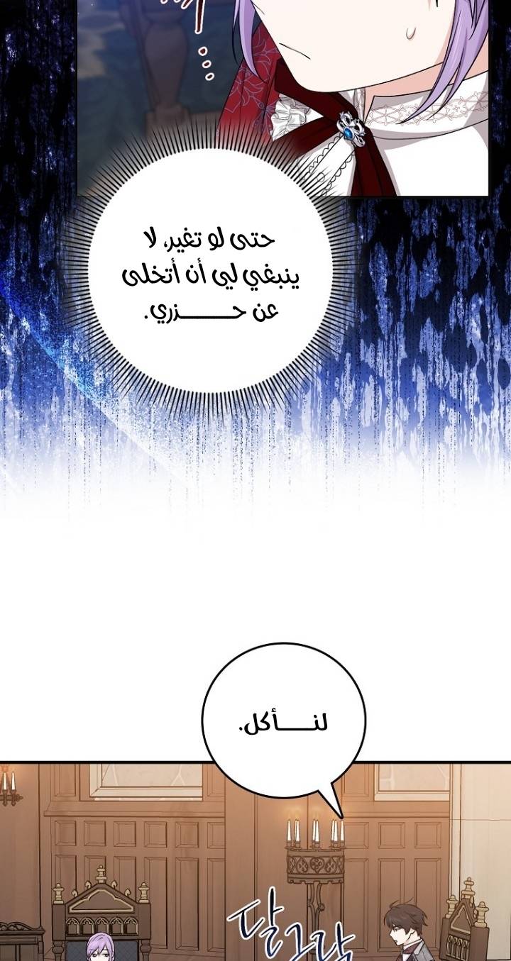 الصفحة 25