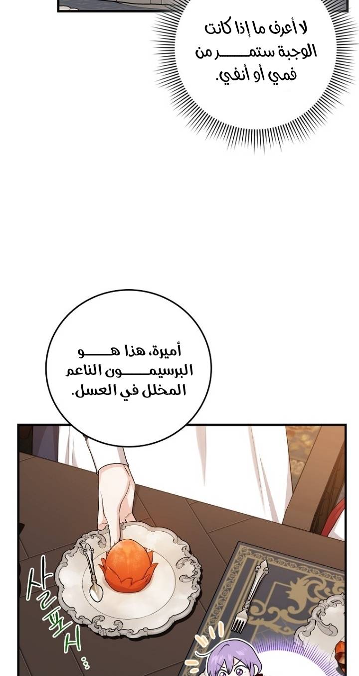 الصفحة 28