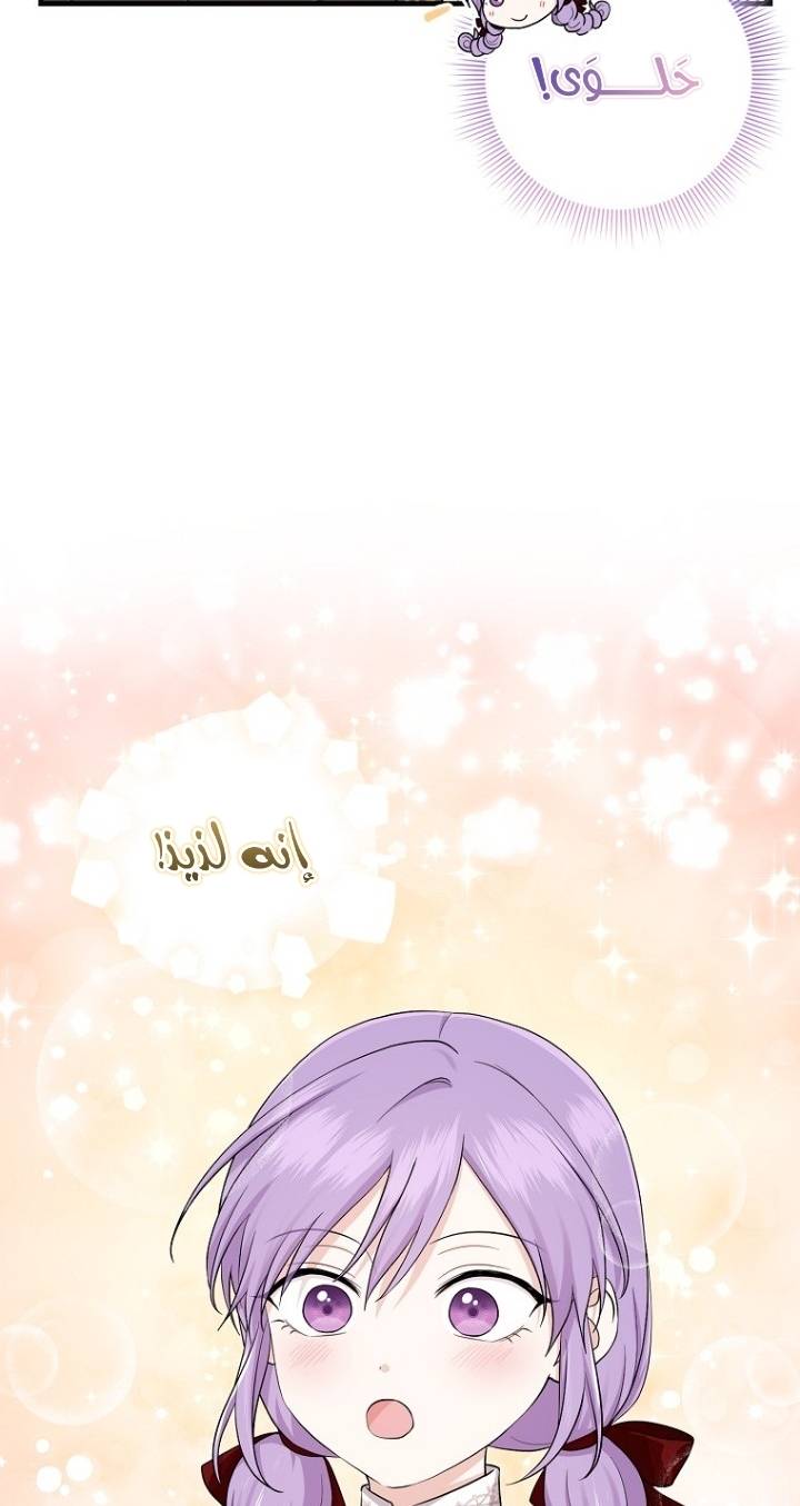 الصفحة 29