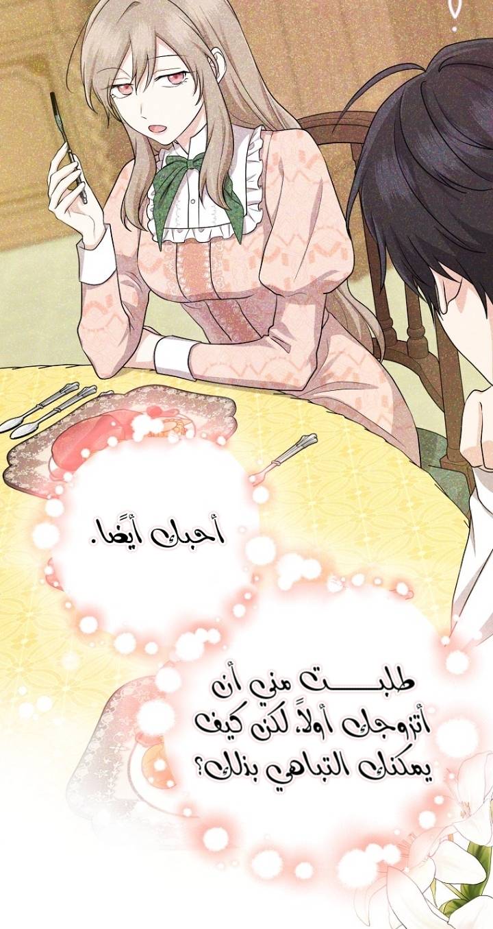 الصفحة 42