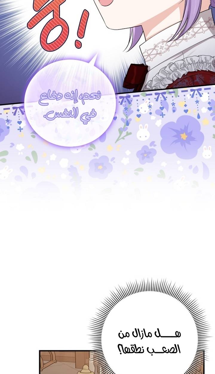 الصفحة 51