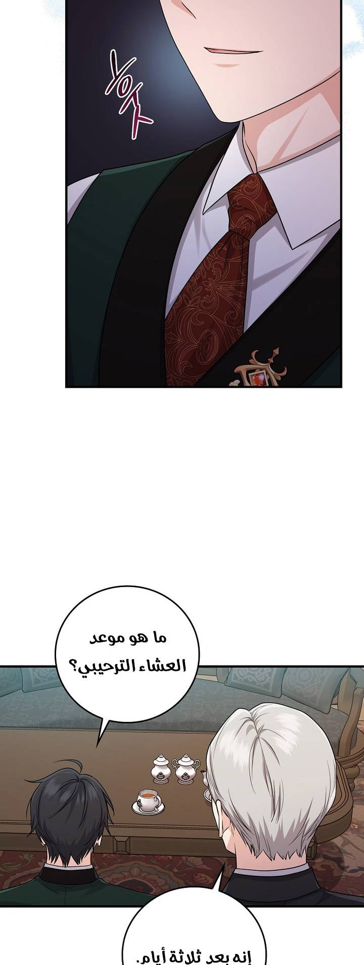 الصفحة 28