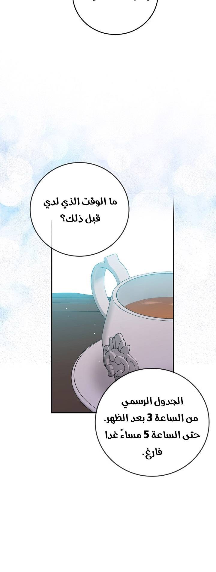 الصفحة 29