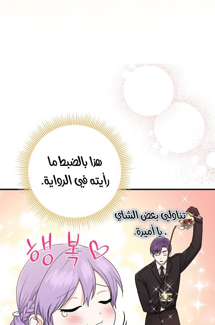 الصفحة 51