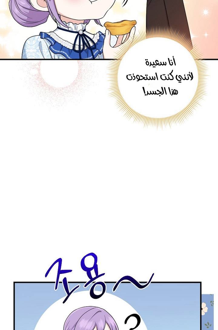 الصفحة 52