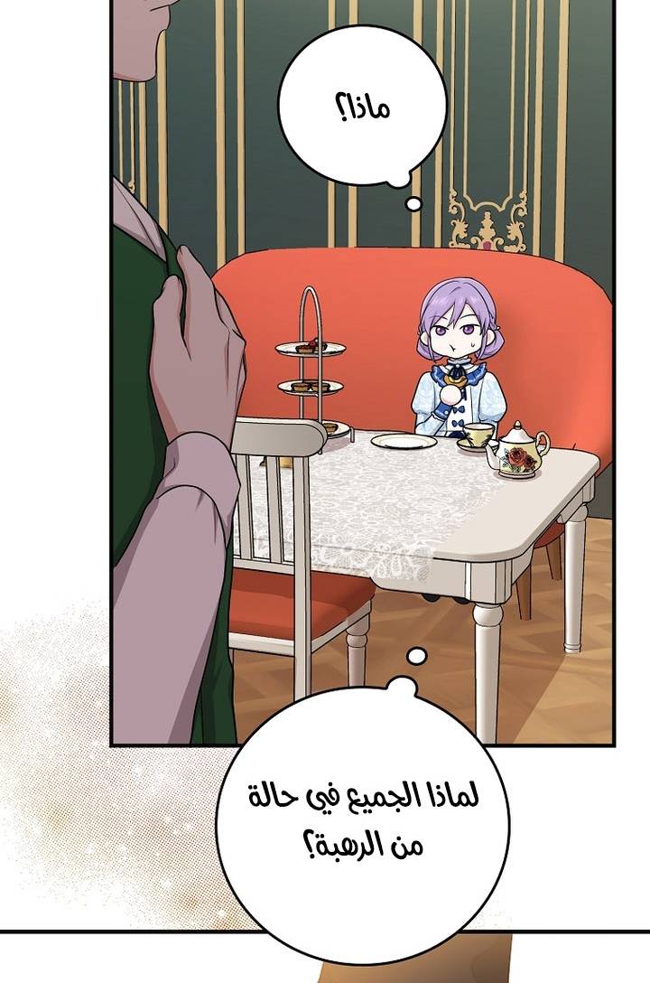 الصفحة 54