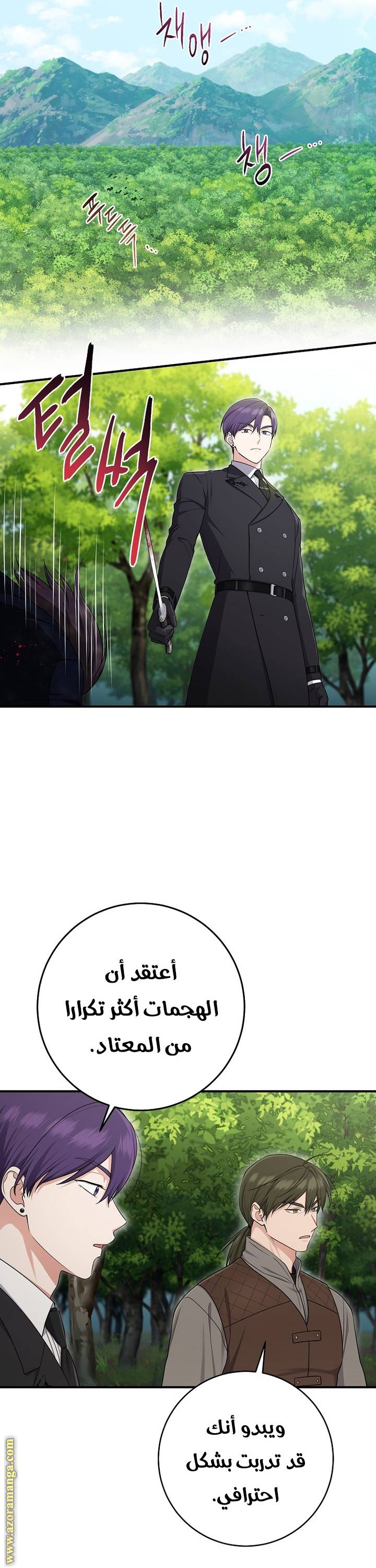 الصفحة 17