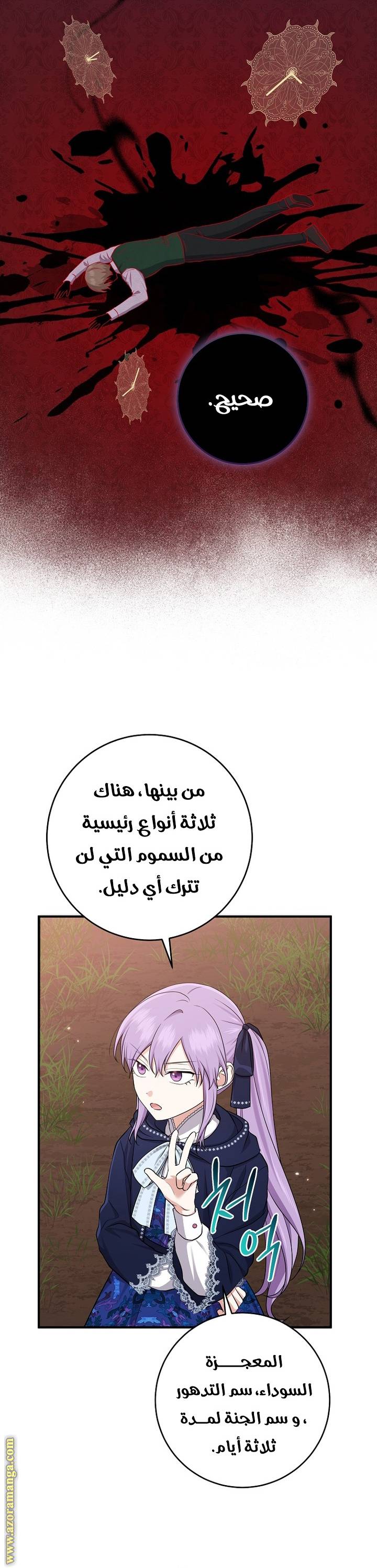 الصفحة 28