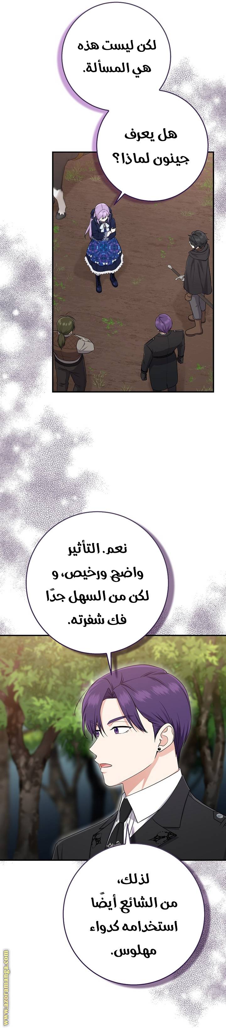 الصفحة 33