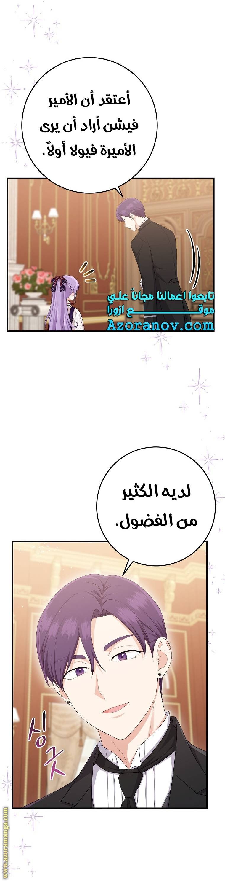 الصفحة 17