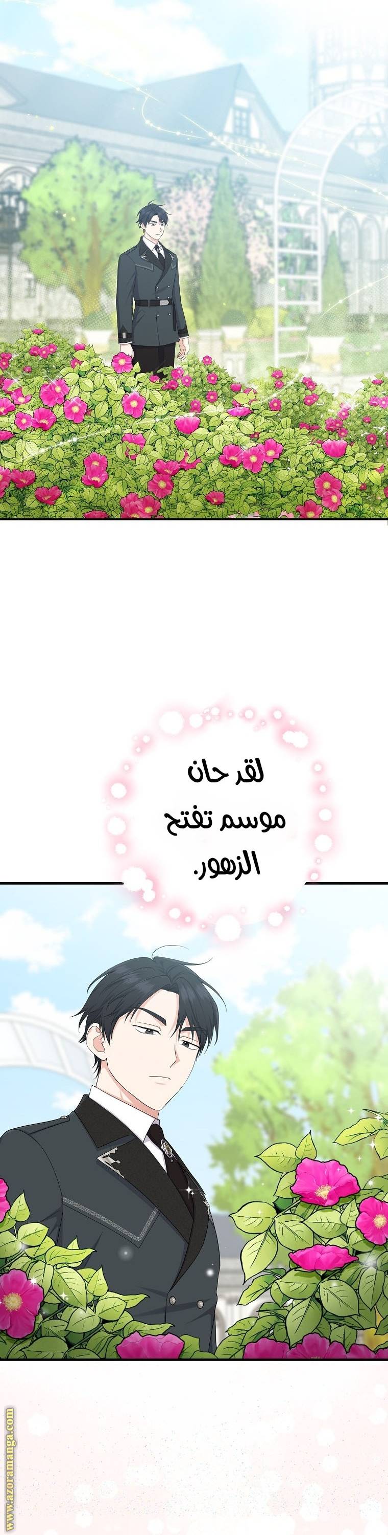 الصفحة 23